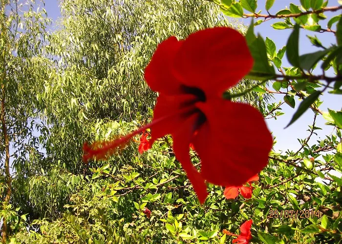 Hotel Narkissos Archangelos (Rhodes)