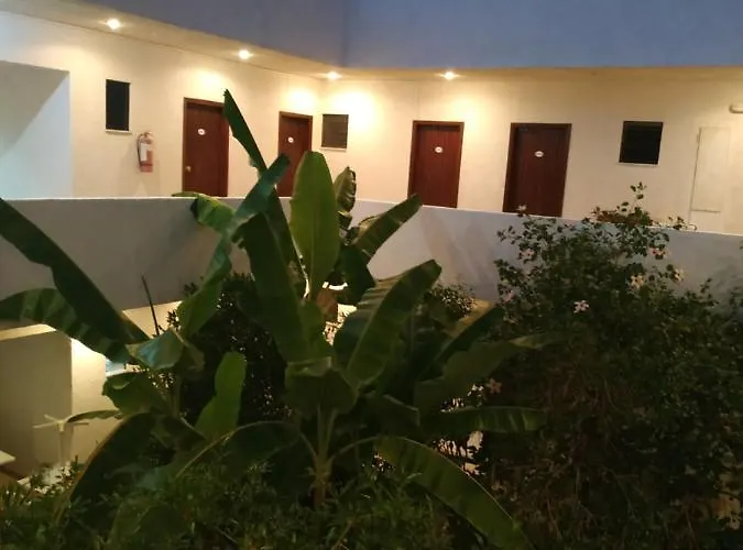 Narkissos アルハンゲロス