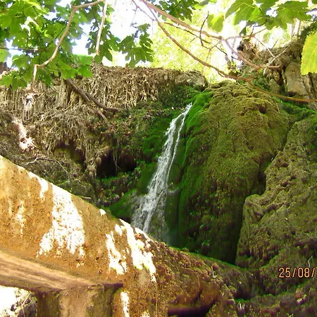Hotel Narkissos 2*
